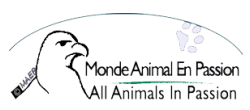 better_logo Monde Animal En Passion-MAEP